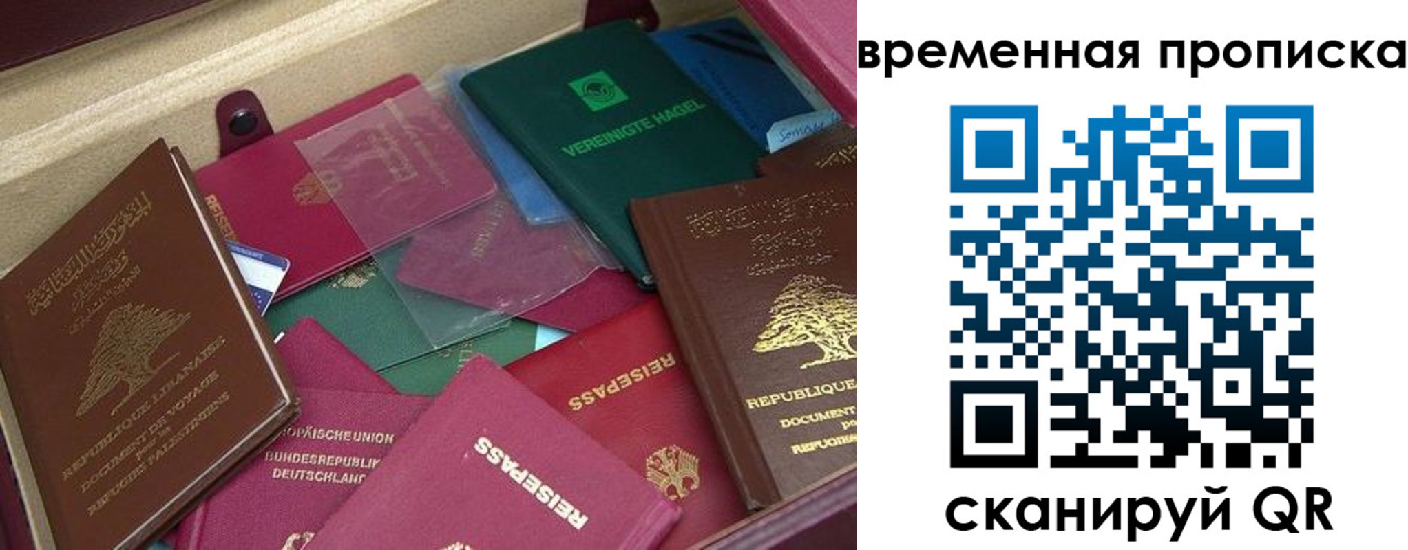прописка в Коммунаре